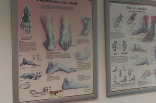ChableCaissotti Karine