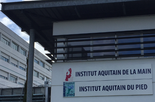 REVAH STEPHANE INSTITUT AQUITAIN DU PIED